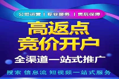 SEO与SEM优化案例：打造行业领先品牌